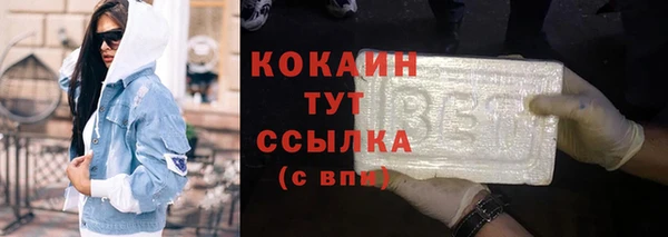 дмт Алексин