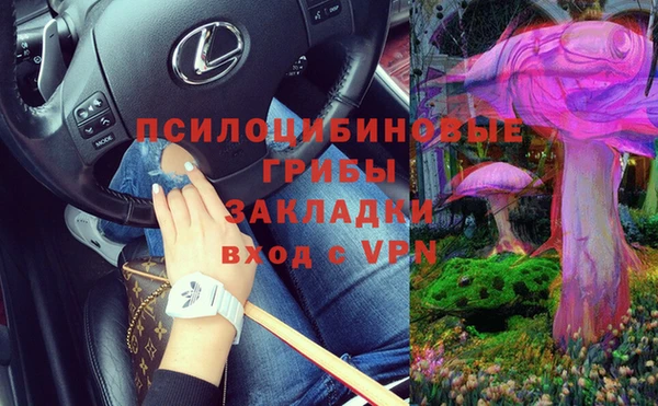 дмт Алексин