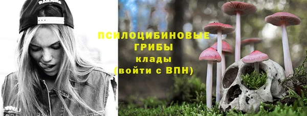 ешки Алзамай